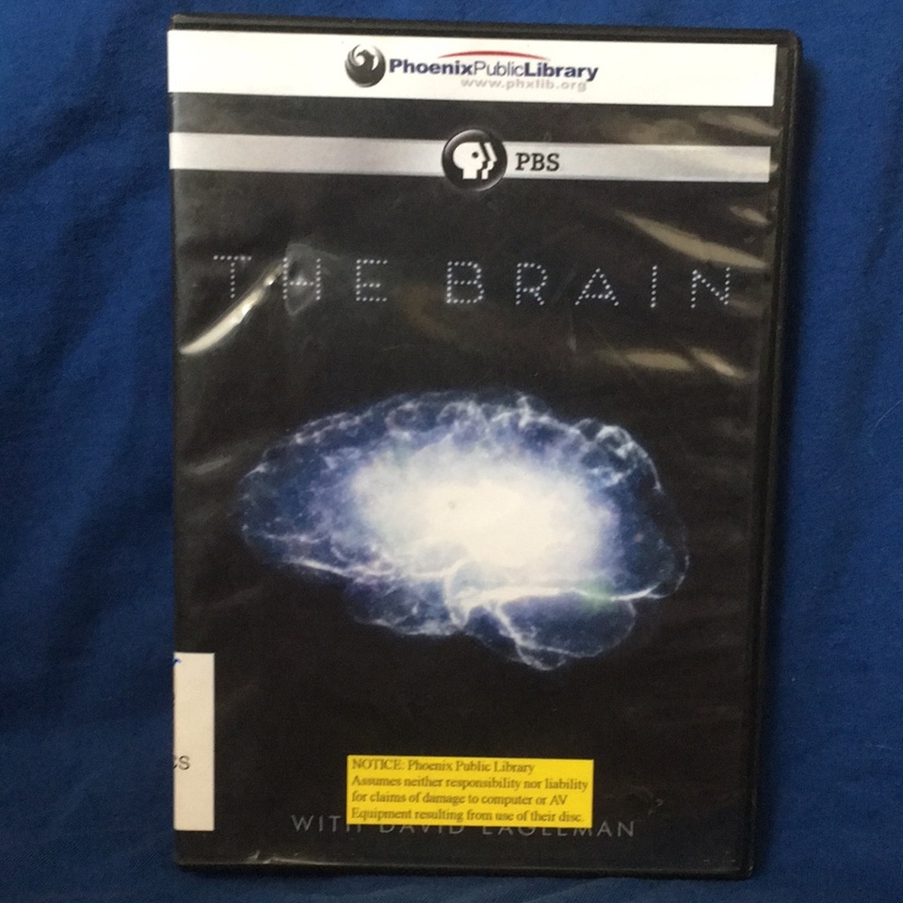 PBS: The Brain” 2-DVD Set